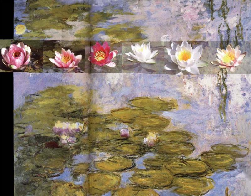 Claude Monet Detail from Water Lilies oil painting image